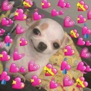 Meet your Posher, Jared